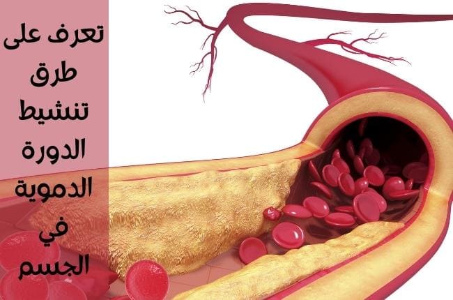 تنشيط الدورة الدموية (Stimulate blood circulation)