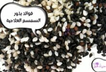 فوائد بذور السمسم العلاجية Therapeutic benefits of sesame seeds