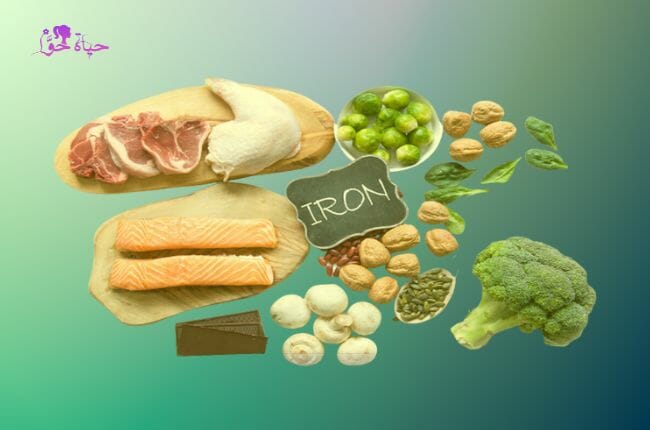 علاج أنيميا نقص الحديد بالأطعمة