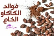 فوائد الكاكاو الخام Raw cocoa benefits