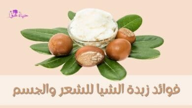 فوائد زبدة الشيا للشعر والجسم The benefits of shea butter for hair and body
