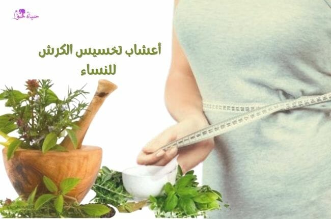 Herbs to lose Belly fat for women أعشاب لتخسيس الكرش للنساء