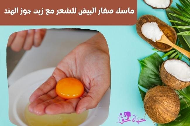 ماسك صفار البيض للشعر وزيت جوز الهند