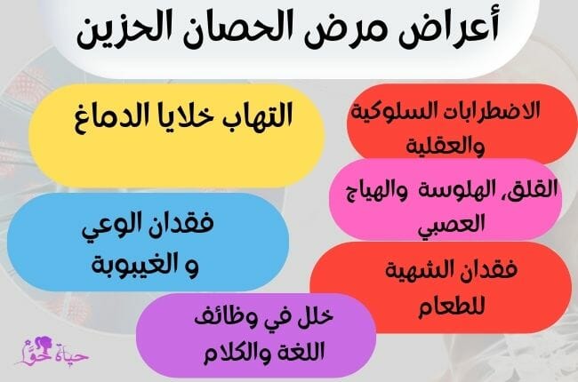 أعراض مرض الحصان الحزين