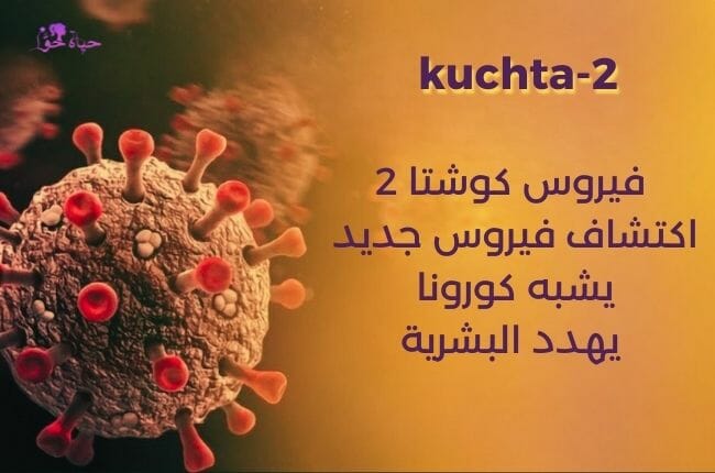 فيروس كوشتا 2 Khosta-2