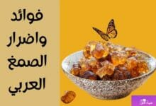 فوائد واضرار الصمغ العربي The benefits and harms of gum arabic