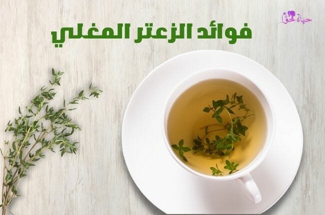 فوائد الزعتر المغلي Benefits of boiled thyme