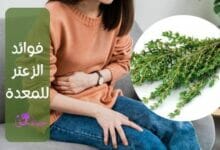 فوائد الزعتر للمعدة (Benefits of thyme for the stomach)