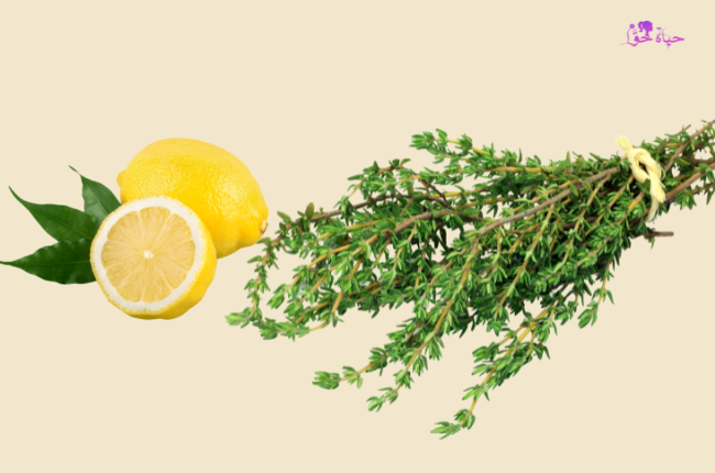 وصفة الزعتر والليمون للتخسيس