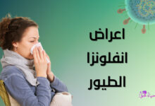 Symptoms-of-Bird-flu-virus. اعرض انفلوانزا الطيور