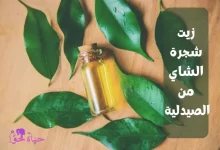 زيت شجرة الشاي من الصيدلية Tea tree oil from the pharmacy