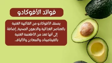 فوائد الأفوكادو Benefits of avocado